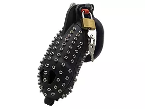 SPNCGS-110X40G10P5BR